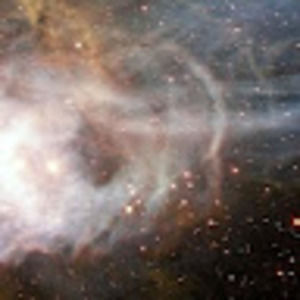 Meet your Posher, Zoe